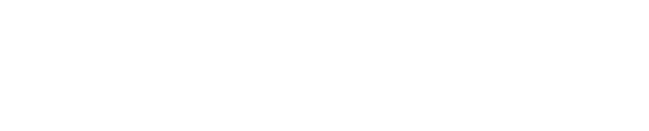 La bontà della Pizza